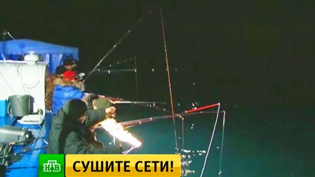 Когда снимут запрет на рыбалку 2018 в татарстане Когда снимут запрет на рыбалку 2018 в татарстане