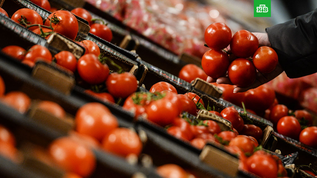 Россельхознадзор позволил поставку томатов с 3-х турецких учреждений