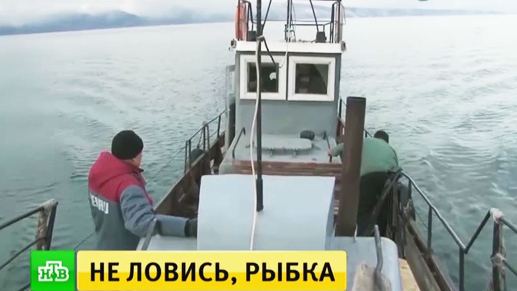 омуль ловля байкал запрет омуль ловля байкал запрет