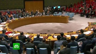 Небензя назвал «спектаклем» обсуждение проекта резолюции Совбеза по Сирии Небензя назвал «спектаклем» обсуждение проекта резолюции Совбеза по Сирии