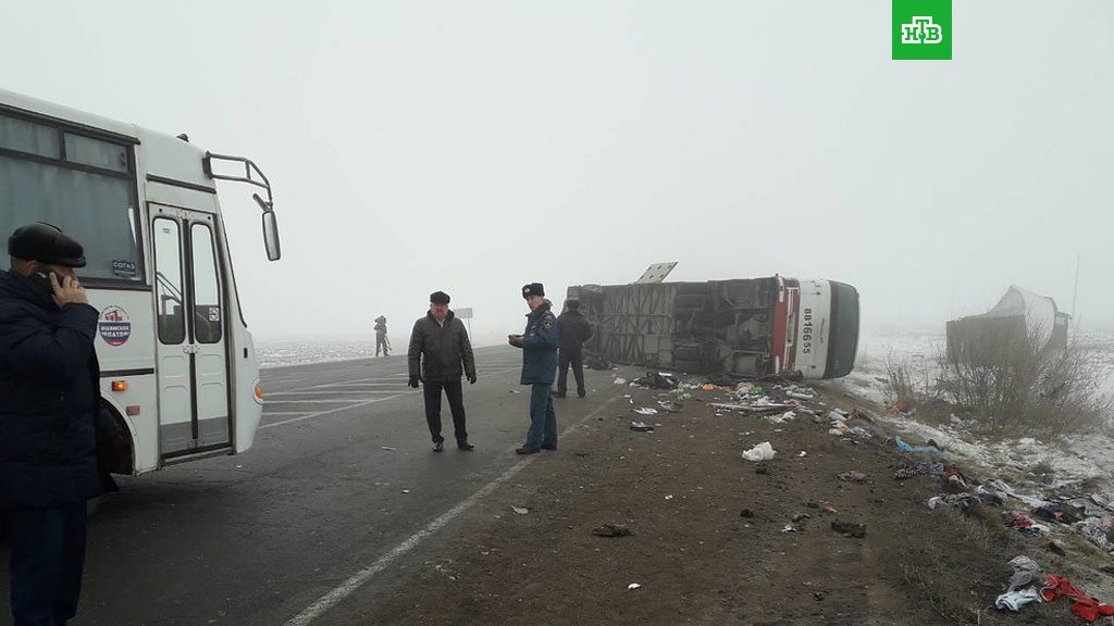 В Тюменской области автобус и фура попали в ДТП В Тюменской области автобус и фура попали в ДТП
