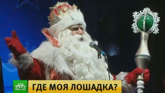 Дед Мороз исполнил новогодние желания маленьких петербуржцев Дед Мороз исполнил новогодние желания маленьких петербуржцев