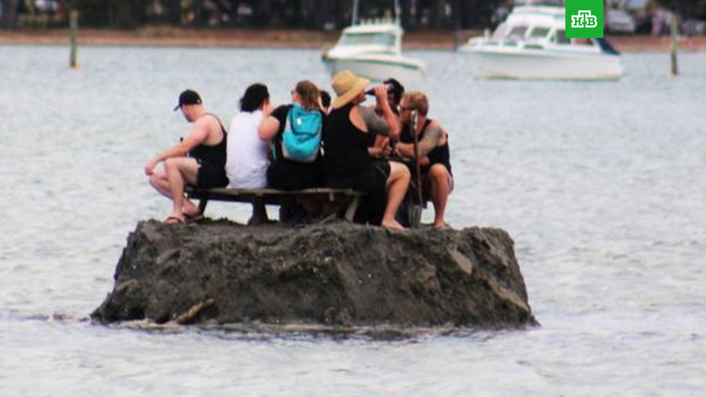 Жители Новой Зеландии построили алкоостров для встречи Нового года Newzell_io