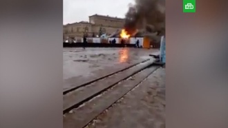 Женщину на ночь Искровский просп. снять девочку Варфоломеевская ул.