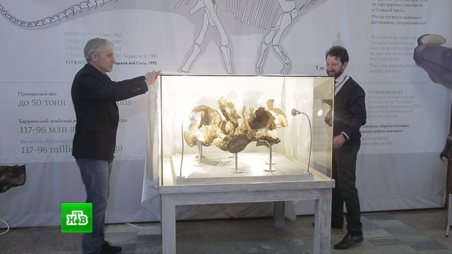 ���������� ������ ��������� ������� ������������ ����� ���������-������������.���������� ������������ ������� � ������� �����, ����� ����������� ����� ��� ����������. �� ������� ��������������. ����������� �������, ��� ���������� ����� ����� � ������ ���� ������� �� ���������� ������ ������ ��� ��������� ��� �����. ����� ������� ������� �������� ���������� � ����������� ������� � ���� ���������.���������, �������������.���.Ru: �������, �����, ��������� ���������� ���