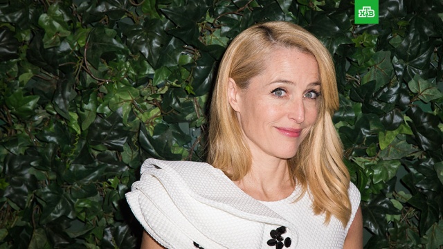 ����� ������ �������� ������ ���������� ����������.������� �������� �������� �������� ����������� �������, �� ������� ��� ������ ���������� � ������� � ����������� X-files (���������� ����������).��������, ���, �������, �������, ���-������.���.Ru: �������, �����, ��������� ���������� ���