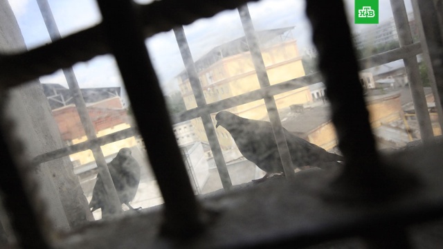 ������������� ����������� ������� ������� �� ���������� ��� �VIP-����������.� ����������� ������ ���������� ��������� (����) �������� �� ���������� ������������� ���������� ������������� ��������� ����������� ������ ����� �������� ���������� � ����������� ������� ��� ������������������� ����������.������, ����, ��������.���.Ru: �������, �����, ��������� ���������� ���