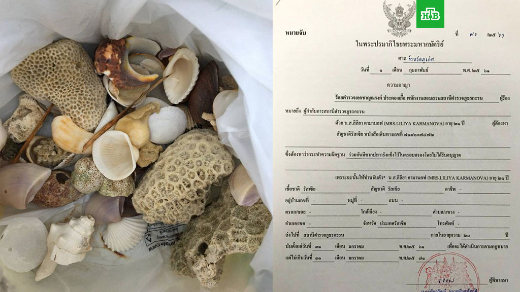 Россиянку задержали в Таиланде за хранение и отбеливание кораллов