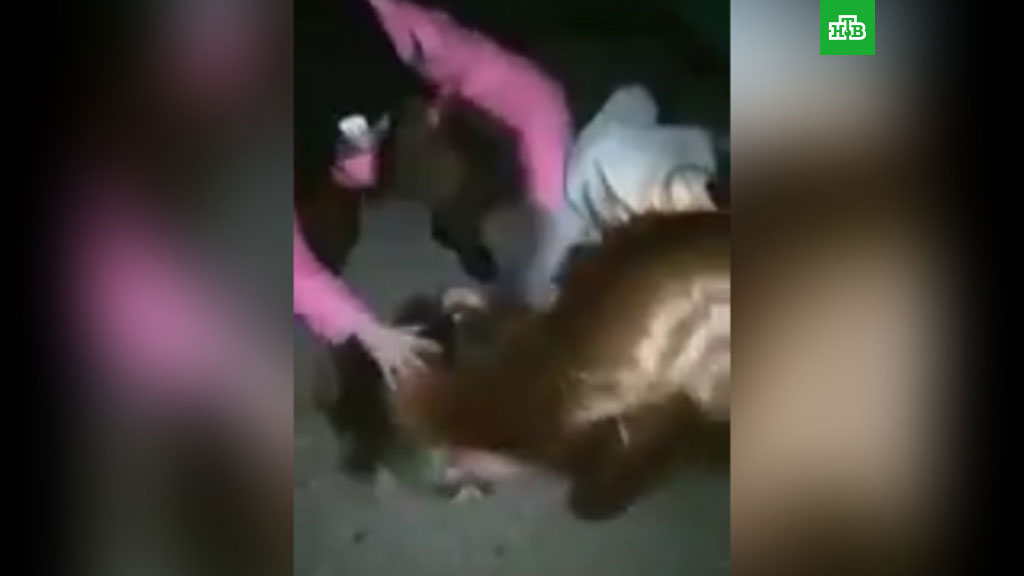 По факту избиения девочками собственной сверстницы в Барнауле начата проверка — СКР По факту избиения девочками собственной сверстницы в Барнауле начата проверка — СКР