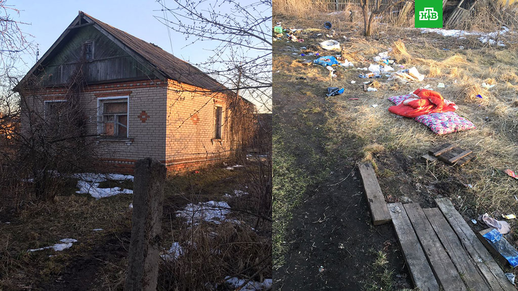 В Раменском районе Подмосковья обнаружили три расчленённых трупа В Раменском районе Подмосковья обнаружили три расчленённых трупа