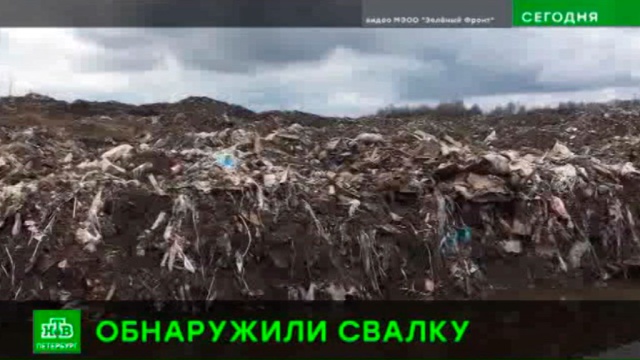 Экологи обнаружили гигантскую нелегальную свалку на юге Петербурга.
Санкт-Петербург, мусор, экология.
НТВ.Ru: новости, видео, программы телеканала НТВ Экологи обнаружили гигантскую нелегальную свалку на юге Петербурга.
Санкт-Петербург, мусор, экология.
НТВ.Ru: новости, видео, программы телеканала НТВ