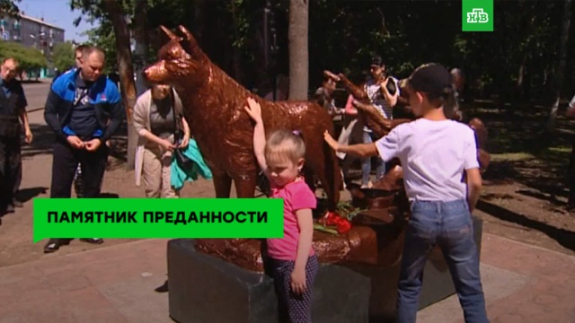 Символ бесконечной преданности: открыт памятник «дальневосточной Хатико».
ЗаМинуту, животные, собаки, памятники, смерть.
НТВ.Ru: новости, видео, программы телеканала НТВ Символ бесконечной преданности: открыт памятник «дальневосточной Хатико».
ЗаМинуту, животные, собаки, памятники, смерть.
НТВ.Ru: новости, видео, программы телеканала НТВ