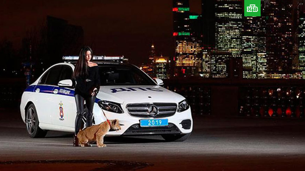 Дочь московского бизнесмена устроила фотосессию со львенком и спецмашиной ДПС.
Москва, полиция, фото.
НТВ.Ru: новости, видео, программы телеканала НТВ Дочь московского бизнесмена устроила фотосессию со львенком и спецмашиной ДПС.
Москва, полиция, фото.
НТВ.Ru: новости, видео, программы телеканала НТВ