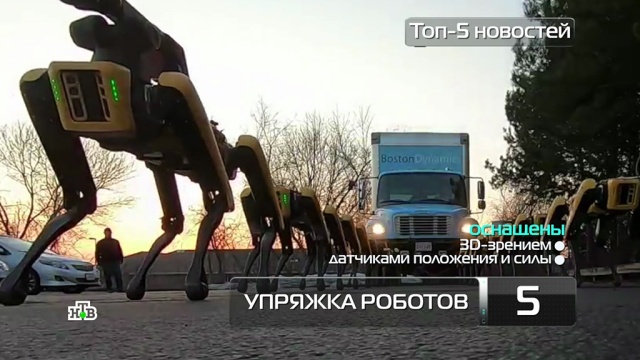 Топ-5 новостей из мира науки и технологий по версии «Чуда техники», 26 мая.
здоровье, изобретения, медицина, наука и открытия, роботы, технологии.
НТВ.Ru: новости, видео, программы телеканала НТВ Топ-5 новостей из мира науки и технологий по версии «Чуда техники», 26 мая.
здоровье, изобретения, медицина, наука и открытия, роботы, технологии.
НТВ.Ru: новости, видео, программы телеканала НТВ