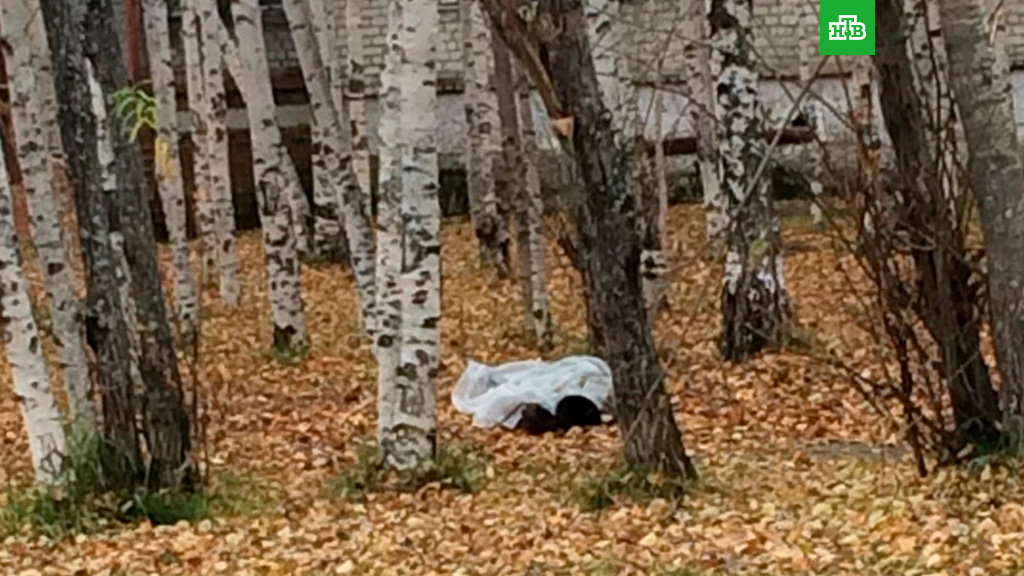 Мертвого мужчину нашли возле нижневартовской школы Мертвого мужчину нашли возле нижневартовской школы