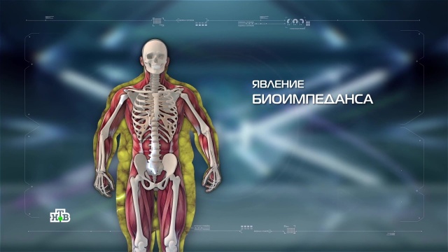 «Умные» весы: проверка качества измерений.
здоровье, лишний вес/диеты/похудение, технологии.
НТВ.Ru: новости, видео, программы телеканала НТВ «Умные» весы: проверка качества измерений.
здоровье, лишний вес/диеты/похудение, технологии.
НТВ.Ru: новости, видео, программы телеканала НТВ