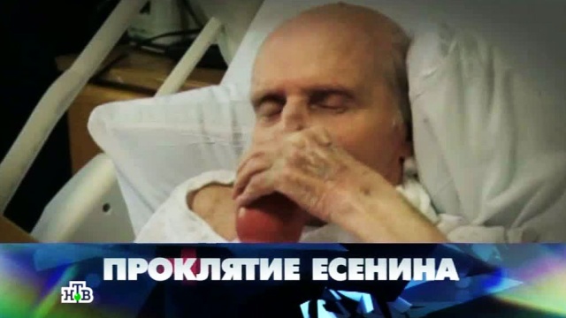Дети Есенина и их судьба Сергей Есенин : дети, внуки, правнуки Дети Есенина и их судьба Сергей Есенин : дети, внуки, правнуки