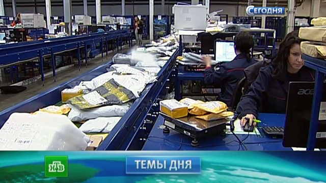 Черепахи на детский праздник