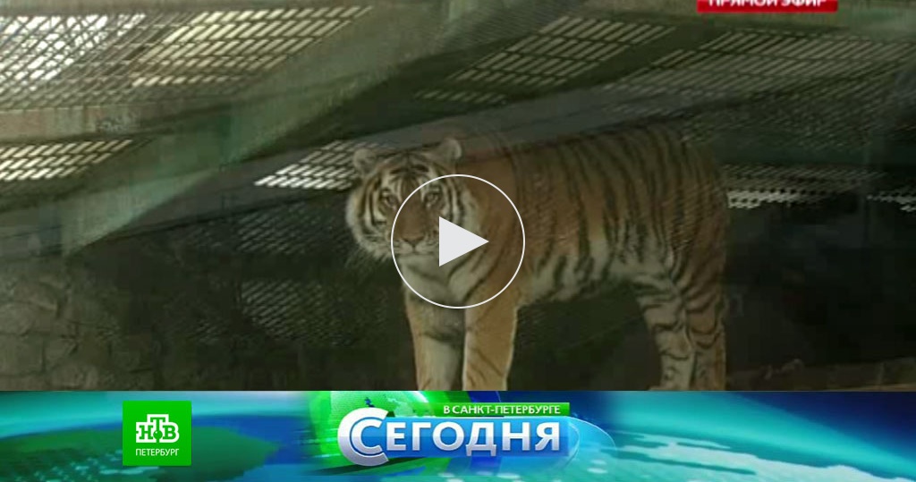 Новости с украины киев сегодня
