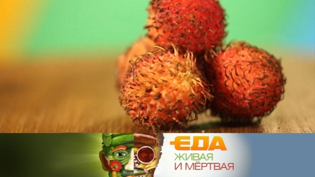 Еда живая и мертваяы блюд