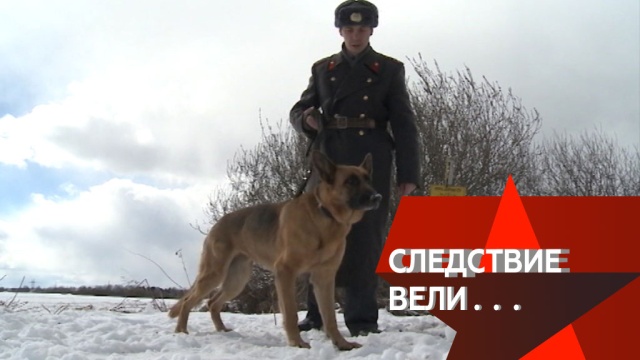 Помогла ли «сыворотка правды» вывести преступника на чистую воду? «Следствие вели…» в воскресенье в 16:20 на НТВ.
НТВ.Ru: новости, видео, программы телеканала НТВ Помогла ли «сыворотка правды» вывести преступника на чистую воду? «Следствие вели…» в воскресенье в 16:20 на НТВ.
НТВ.Ru: новости, видео, программы телеканала НТВ