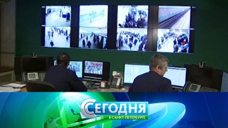 Светличная лариса ловцы новостей