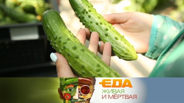 Есть ли польза от тепличных огурцов и целебные свойства кунжута. «Еда живая и мертвая» в субботу в 11:00.
НТВ.Ru: новости, видео, программы телеканала НТВ Есть ли польза от тепличных огурцов и целебные свойства кунжута. «Еда живая и мертвая» в субботу в 11:00.
НТВ.Ru: новости, видео, программы телеканала НТВ