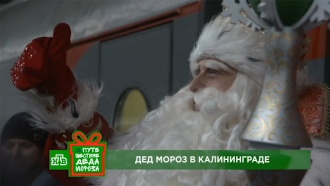 Дед Мороз и команда НТВ привезли новогоднее настроение и подарки в Калининград Дед Мороз и команда НТВ привезли новогоднее настроение и подарки в Калининград