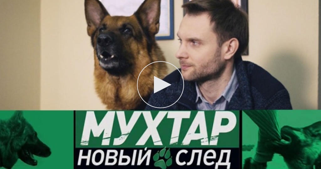 Мухтар новый след 2018 ютуб Мухтар новый след 2018 ютуб