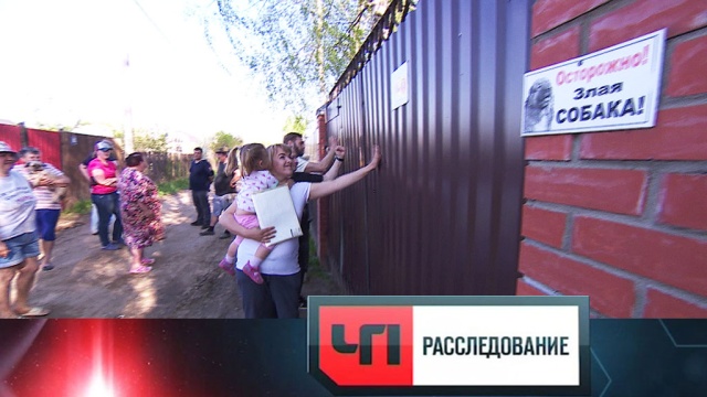 Как и почему СНТ превращаются в ОПГ? «ЧП. Расследование» в пятницу в 18:15.
НТВ.Ru: новости, видео, программы телеканала НТВ Как и почему СНТ превращаются в ОПГ? «ЧП. Расследование» в пятницу в 18:15.
НТВ.Ru: новости, видео, программы телеканала НТВ