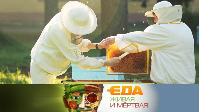 Как отличить натуральный мед от подкрашенного сиропа? «Еда живая и мертвая» специальный медовый выпуск в субботу в 11:00.
НТВ.Ru: новости, видео, программы телеканала НТВ Как отличить натуральный мед от подкрашенного сиропа? «Еда живая и мертвая» специальный медовый выпуск в субботу в 11:00.
НТВ.Ru: новости, видео, программы телеканала НТВ