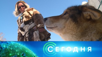 2 марта 2020 года. 16:00 2 марта 2020 года. 16:00