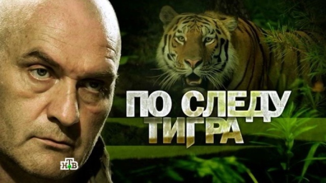 Фильмы нтв 2018 односерийные Фильмы нтв 2018 односерийные