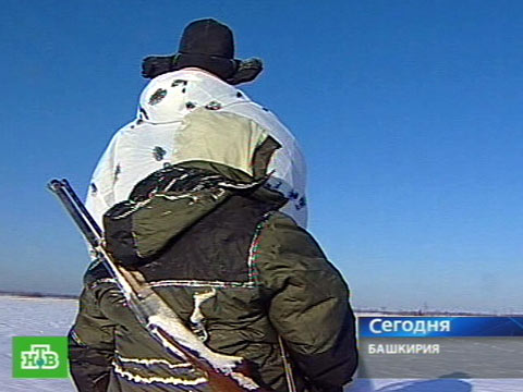 Что творят волки видео. Смотреть фото Что творят волки видео. Смотреть картинку Что творят волки видео. Картинка про Что творят волки видео. Фото Что творят волки видео