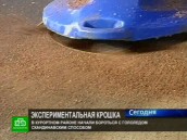 Гранит на асфальте: плюсы и минусы скандинавского опыта.
НТВ.Ru: новости, видео, программы телеканала НТВ Гранит на асфальте: плюсы и минусы скандинавского опыта.
НТВ.Ru: новости, видео, программы телеканала НТВ
