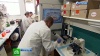 Прорыв года: израильские ученые изобрели вакцину от рака