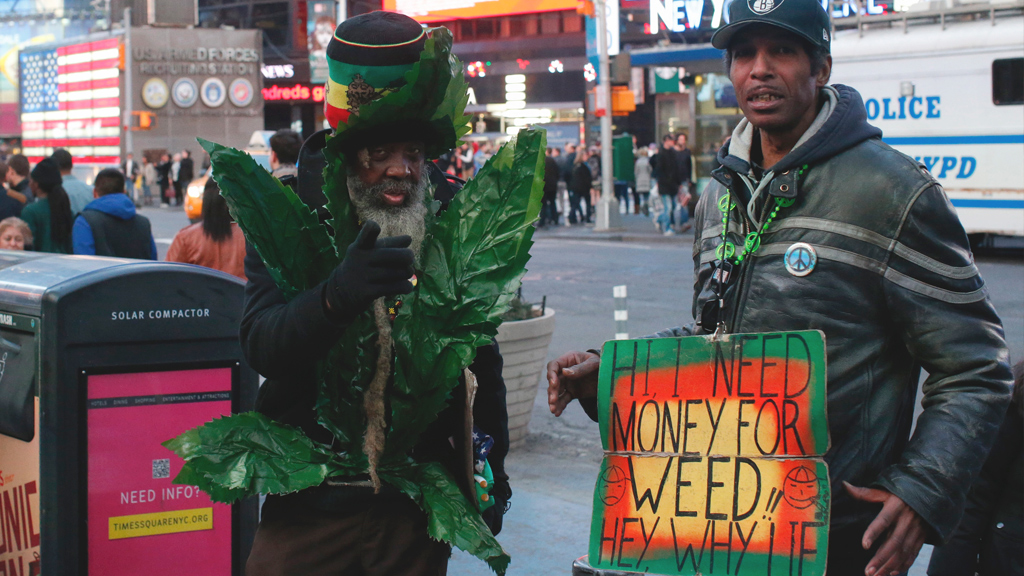 купить марихуану в нью йорке