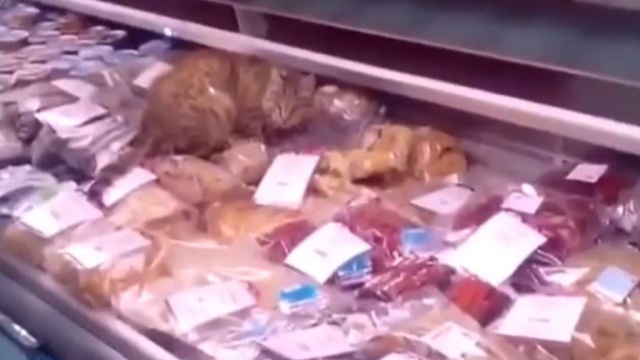 Магазин Гурман Владивосток Магазин Гурман Владивосток