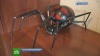 Терминатор вдохновил сибиряка на создание железных пауков
