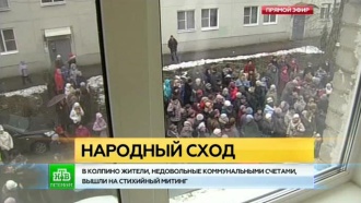 http://img2.ntv.ru/home/news/20160211/NTV_1102_1920_KOLPINONTV_1102_1920_KOLPINO_main.jpg