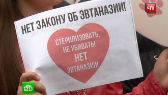 На митинге в Москве потребовали наказать живодеров из приюта «Эко Вешняки»