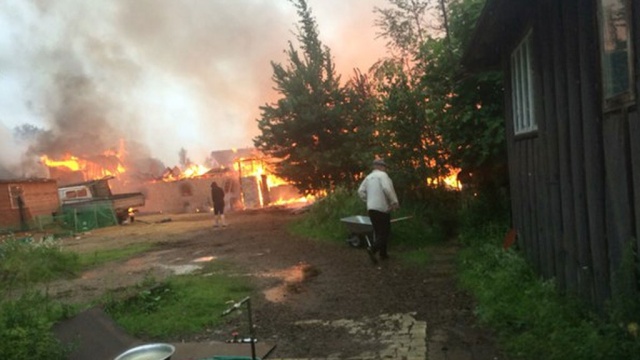 пронр видео лис в конюшне пронр видео лис в конюшне