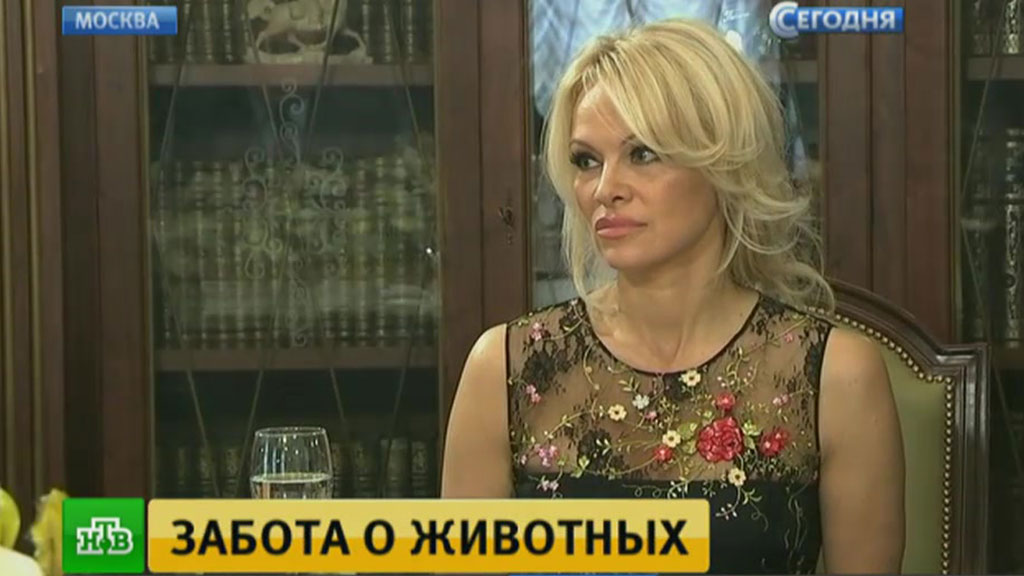 http://img2.ntv.ru/home/news/20161216/16_pamela_vs.jpg