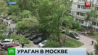 что натворил ураган в москве. Смотреть фото что натворил ураган в москве. Смотреть картинку что натворил ураган в москве. Картинка про что натворил ураган в москве. Фото что натворил ураган в москве что натворил ураган в москве. Смотреть фото что натворил ураган в москве. Смотреть картинку что натворил ураган в москве. Картинка про что натворил ураган в москве. Фото что натворил ураган в москве