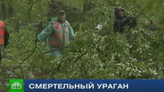 что натворил ураган в москве. Смотреть фото что натворил ураган в москве. Смотреть картинку что натворил ураган в москве. Картинка про что натворил ураган в москве. Фото что натворил ураган в москве что натворил ураган в москве. Смотреть фото что натворил ураган в москве. Смотреть картинку что натворил ураган в москве. Картинка про что натворил ураган в москве. Фото что натворил ураган в москве