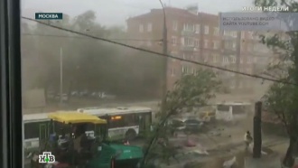 что натворил ураган в москве. Смотреть фото что натворил ураган в москве. Смотреть картинку что натворил ураган в москве. Картинка про что натворил ураган в москве. Фото что натворил ураган в москве что натворил ураган в москве. Смотреть фото что натворил ураган в москве. Смотреть картинку что натворил ураган в москве. Картинка про что натворил ураган в москве. Фото что натворил ураган в москве