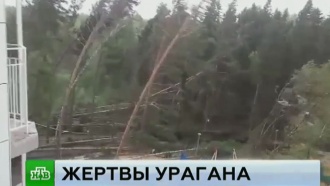 что натворил ураган в москве. Смотреть фото что натворил ураган в москве. Смотреть картинку что натворил ураган в москве. Картинка про что натворил ураган в москве. Фото что натворил ураган в москве что натворил ураган в москве. Смотреть фото что натворил ураган в москве. Смотреть картинку что натворил ураган в москве. Картинка про что натворил ураган в москве. Фото что натворил ураган в москве