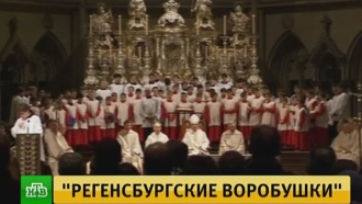 насилие над проститутками видео насилие над проститутками видео