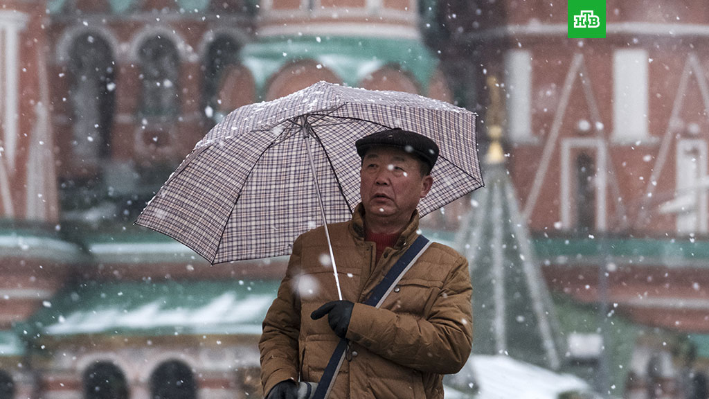 В Москве ожидается резкое похолодание и снегопад // НТВ.Ru