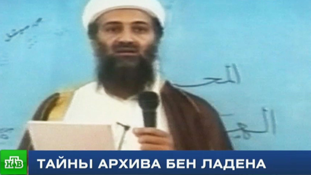 Самый толстый кот 18 кг Видео-приколы с кошками